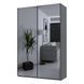 Шафа купе Doros G-Caiser Антрацит 2 Дзеркала / 3 частини 160х60х240 (42005409) (DRS-012242) DRS-012242 фото 3