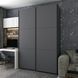 Шафа купе G-Caiser Антрацит/Антрацит 2 ДСП / 3 частини 160х60х240 (42005412) (DRS-012245) DRS-012245 фото 3