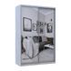 Шафа-купе Doros Сіті Лайт Сосна Натти 2 Дзеркала 150х60х225 (DRS-011966) DRS-011966 фото 6